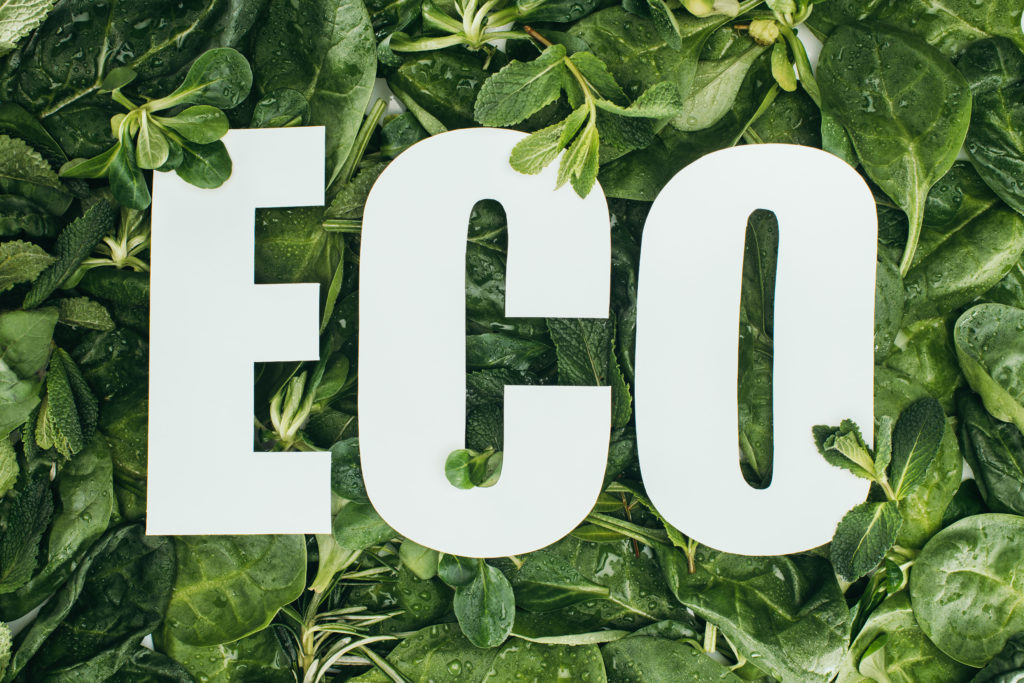 top view of fresh green leaves with dew drops and inscription eco